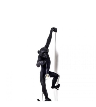singe accroché ext