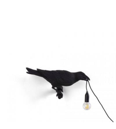 corbeau sur branche