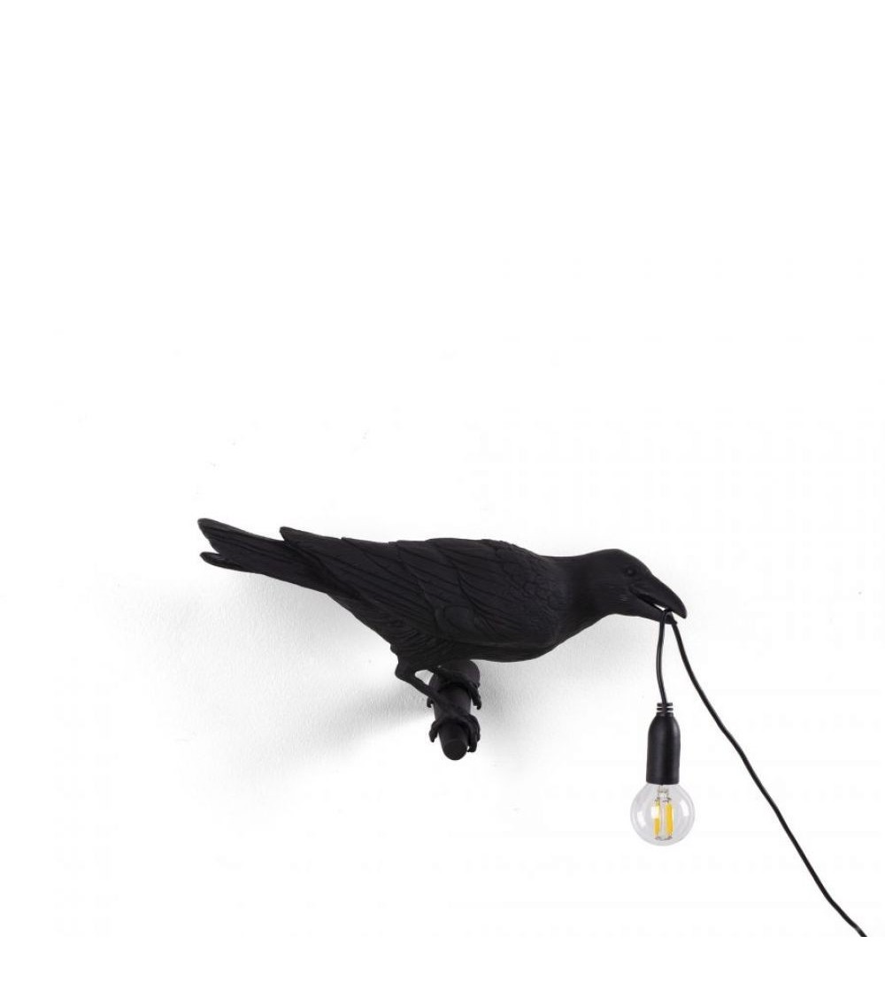 corbeau sur branche