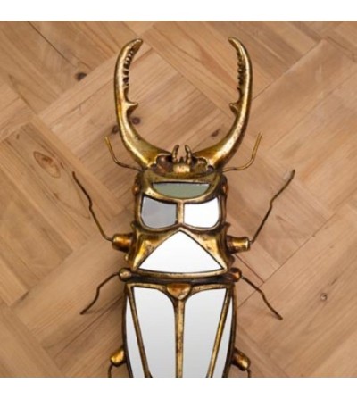 Lucarne cerf-volant miroirs