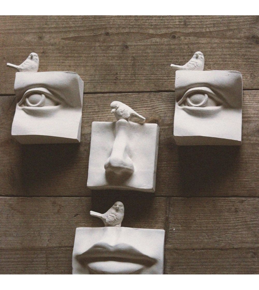 soliflore oeil/bouche