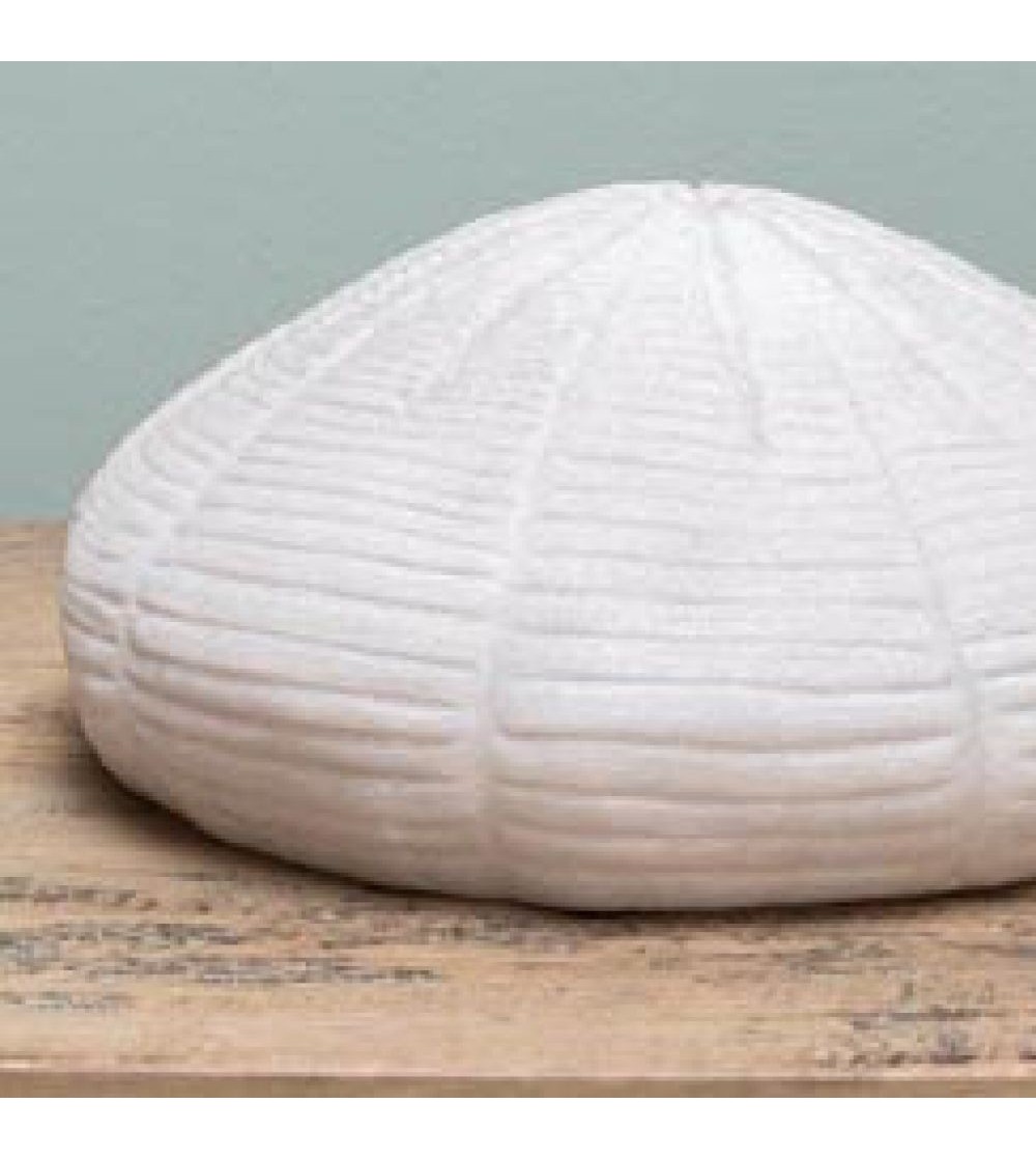 LAMPE coquillage