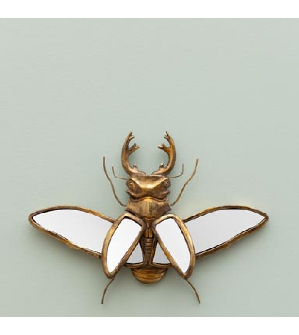 Lucarne cerf-volant ailes ouvertes miroirs