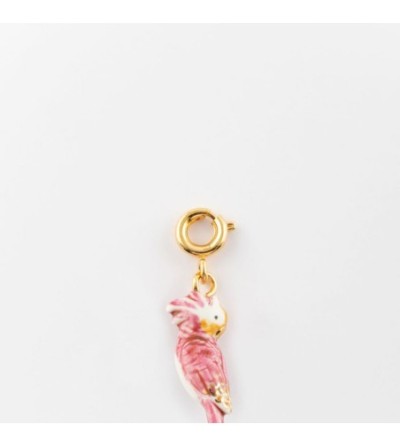 cacatoès rose charm's