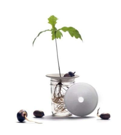 coupelle de germination S/L