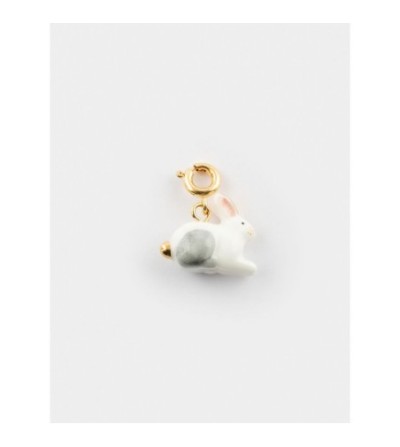 Charm's lièvre polaire