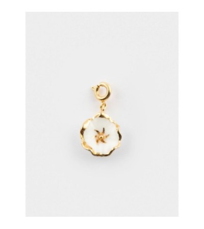 Charm's fleur des neiges