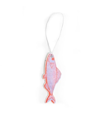Poisson désodorisant placard et voiture