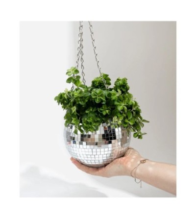Grand pot de plantes disco boule à facettes