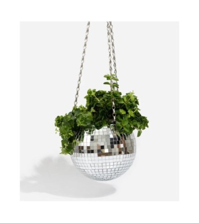 Petit pot de plantes disco boule à facettes
