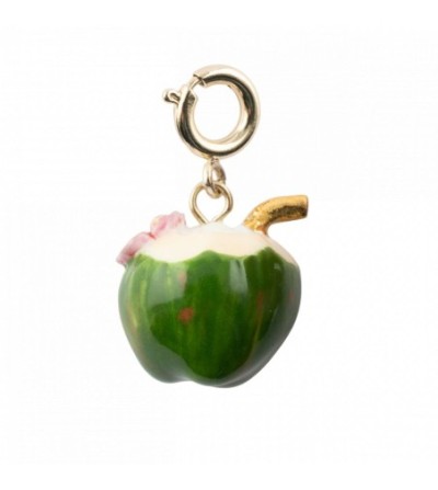 grande noix de coco charm's