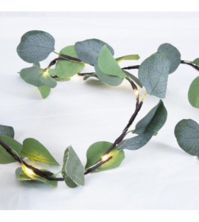 guirlande eucalyptus